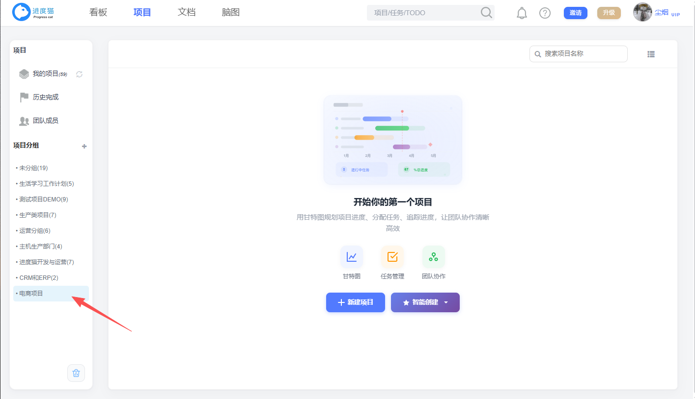 项目分组：左侧分组导航与过滤效果